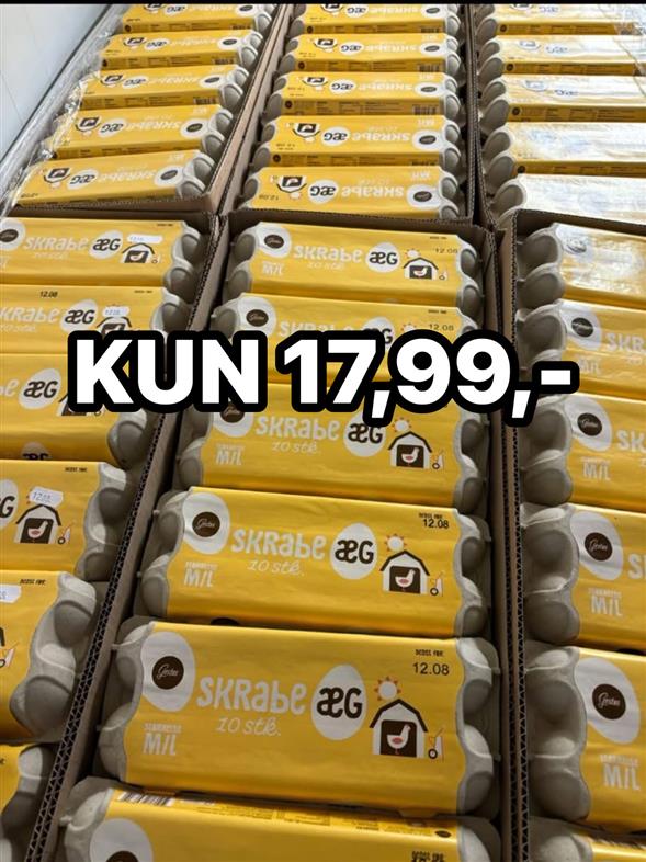 Gestus æg 10 stk